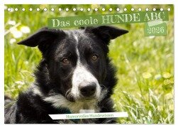 Das coole Hunde ABC (Tischkalender 2026 DIN A5 quer), CALVENDO Monatskalender - Sabine Löwer