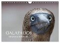 Galapagos (Wandkalender 2024 DIN A4 quer), CALVENDO Monatskalender - Ralf Weise