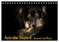 Australian Shepherd - Traum auf vier Pfoten (Tischkalender 2024 DIN A5 quer), CALVENDO Monatskalender - Andrea Mayer Tierfotografie