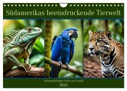 Südamerikas beeindruckende Tierwelt (Wandkalender 2026 DIN A4 quer), CALVENDO Monatskalender - Claudia Kleemann