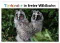 Tierkinder in freier Wildbahn (Wandkalender 2024 DIN A2 quer), CALVENDO Monatskalender - Günter Bachmeier