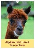 Alpaka und Lama Terminplaner (Wandkalender 2024 DIN A4 hoch), CALVENDO Monatskalender - Kattobello Kattobello