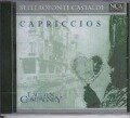 Cover-Bild zum Titel 'Castaldi: Capriccios' von 'Wolfgang Lautten Compagney/Katschner'