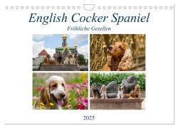 English Cocker Spaniel - Fröhliche Gesellen (Wandkalender 2025 DIN A4 quer), CALVENDO Monatskalender - Fotodesign Verena Scholze