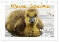 Kleine Schelme - Tierbabys (Wandkalender 2024 DIN A3 quer), CALVENDO Monatskalender - Sigrun Düll