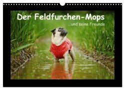 Cover-Bild zum Titel 'Der Feldfurchen-Mops (Wandkalender 2026 DIN A3 quer), CALVENDO Monatskalender' von 'Kathrin Köntopp'