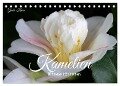 Kamelien - Blütenschönheiten (Tischkalender 2024 DIN A5 quer), CALVENDO Monatskalender - Gisela Kruse