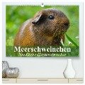 Meerschweinchen Niedliche Herzensbrecher (hochwertiger Premium Wandkalender 2024 DIN A2 quer), Kunstdruck in Hochglanz - Elisabeth Stanzer