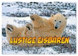 Lustige Eisbären (Tischkalender 2026 DIN A5 quer), CALVENDO Monatskalender - Joern Stegen