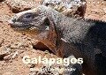 Galápagos Geburtstagskalender (Tischkalender immerwährend DIN A5 quer) - Rudolf Blank