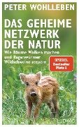 Cover-Bild zum Titel 'Das geheime Netzwerk der Natur' von 'Peter Wohlleben'