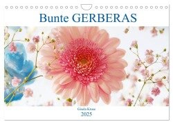 Bunte Gerberas (Wandkalender 2025 DIN A4 quer), CALVENDO Monatskalender - Gisela Kruse