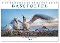 Basstölpel - Helgolands tollkühne Taucher (Tischkalender 2024 DIN A5 quer), CALVENDO Monatskalender - Norman Preißler