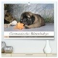 Germanische Bärenbabys (hochwertiger Premium Wandkalender 2025 DIN A2 quer), Kunstdruck in Hochglanz - Sonja Teßen