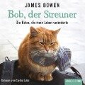 Bob, der Streuner - James Bowen