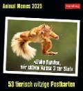 Animal Memes Postkartenkalender 2025 - 53 tierisch witzige Postkarten - Elena Merschhemke