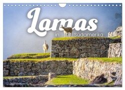 Lamas in Südamerika (Wandkalender 2025 DIN A4 quer), CALVENDO Monatskalender - Happy Monkey