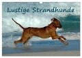 Lustige Strandhunde (Wandkalender 2024 DIN A3 quer), CALVENDO Monatskalender - Anke van Wyk - www. germanpix. net