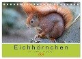 Eichhörnchen - Kleine Kobolde im Roten Pelz (Tischkalender 2024 DIN A5 quer), CALVENDO Monatskalender - Margret Brackhan