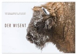 Emotionale Momente: Der Wisent. (Wandkalender 2026 DIN A2 quer), CALVENDO Monatskalender - Ingo Gerlach