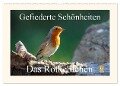 Gefiederte Schönheiten - Das Rotkehlchen (Wandkalender 2024 DIN A2 quer), CALVENDO Monatskalender - Rolf Pötsch