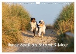 Hunde-Spaß an Strand & Meer (Wandkalender 2025 DIN A4 quer), CALVENDO Monatskalender - Annett Mirsberger