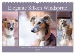 Elegante Silken Windsprite (Wandkalender 2025 DIN A3 quer), CALVENDO Monatskalender - Fotodesign Verena Scholze