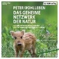 Cover-Bild zum Titel 'Das geheime Netzwerk der Natur' von 'Peter Wohlleben'