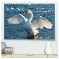 Mit dem Schwan durchs Jahr 2024 (hochwertiger Premium Wandkalender 2024 DIN A2 quer), Kunstdruck in Hochglanz - Roland T. Frank