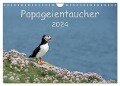 Papageientaucher 2024 (Wandkalender 2024 DIN A4 quer), CALVENDO Monatskalender - Stefan Leimer