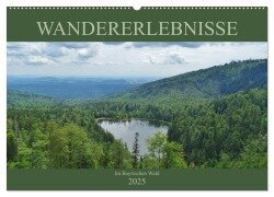 Wandererlebnisse im Bayrischen Wald (Wandkalender 2025 DIN A2 quer), CALVENDO Monatskalender - Andrea Janke