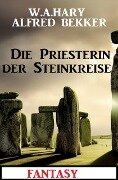 Die Priesterin der Steinkreise: Fantasy - Alfred Bekker, W. A. Hary