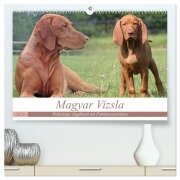 Cover-Bild zum Titel 'Magyar Vizsla - Vielseitiger Jagdhund mit Familienanschluss (hochwertiger Premium Wandkalender 2026 DIN A2 quer), Kunstdruck in Hochglanz' von 'Barbara Mielewczyk'