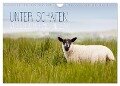 Unter Schafen - Wegbegleiter auf Reisen (Wandkalender 2024 DIN A4 quer), CALVENDO Monatskalender - Lain Jackson