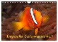 Tropische Unterwasserwelt (Wandkalender 2024 DIN A4 quer), CALVENDO Monatskalender - Martin Rauchenwald