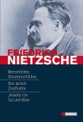 Friedrich Nietzsche: Hauptwerke - Friedrich Nietzsche