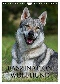 Faszination Wolfhund (Wandkalender 2025 DIN A4 hoch), CALVENDO Monatskalender - Sigrid Starick