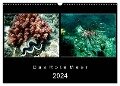 Das Rote Meer ¿ 2024 (Wandkalender 2024 DIN A3 quer), CALVENDO Monatskalender - Hamburg Mirko Weigt