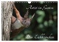 Artist im Garten. Das Eichhörnchen (Wandkalender 2024 DIN A4 quer), CALVENDO Monatskalender - Klaus Konieczka
