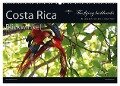 Costa Rica Blickwinkel 2024 (Wandkalender 2024 DIN A2 quer), CALVENDO Monatskalender - The Flying Bushhawks