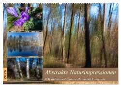 Abstrakte Naturerlebnisse - ICM (Intentional Camera Movement) Fotografie (Wandkalender 2026 DIN A2 quer), CALVENDO Monatskalender - Ursula Di Chito