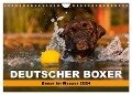 Deutscher Boxer - Boxer im Wasser 2024 (Wandkalender 2024 DIN A4 quer), CALVENDO Monatskalender - Kerstin Mielke