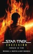 Star Trek: Excelsior: Forged in Fire - Michael A. Martin, Andy Mangels