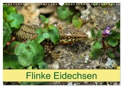 Flinke Eidechsen (Wandkalender 2025 DIN A3 quer), CALVENDO Monatskalender - Kattobello Kattobello