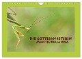 Die Gottesanbeterin Mantis Religiosa (Wandkalender 2024 DIN A4 quer), CALVENDO Monatskalender - Gugigei Gugigei