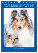 Cover-Bild zum Titel 'Traumhund Collie - Glück auf vier Pfoten (Wandkalender 2026 DIN A4 hoch), CALVENDO Monatskalender' von 'Sigrid Starick'