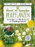 Gesund mit heimischen Heilpflanzen - Anne Wanitschek, Sebastian Vigl