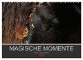 Magische Momente - Pferde Horses Caballos (Wandkalender 2024 DIN A2 quer), CALVENDO Monatskalender - Petra Eckerl Tierfotografie Www. Petraeckerl. Com