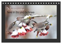 Winterzauber - Tiere in Eis und Schnee (Tischkalender 2025 DIN A5 quer), CALVENDO Monatskalender - Günter Bachmeier