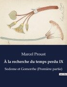 Cover-Bild zum Titel 'À la recherche du temps perdu IX' von 'Marcel Proust'